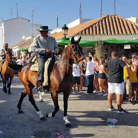 Montemayor 36